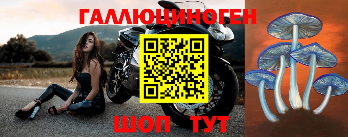 Псилоцибиновые грибы мицелий Нефтекамск